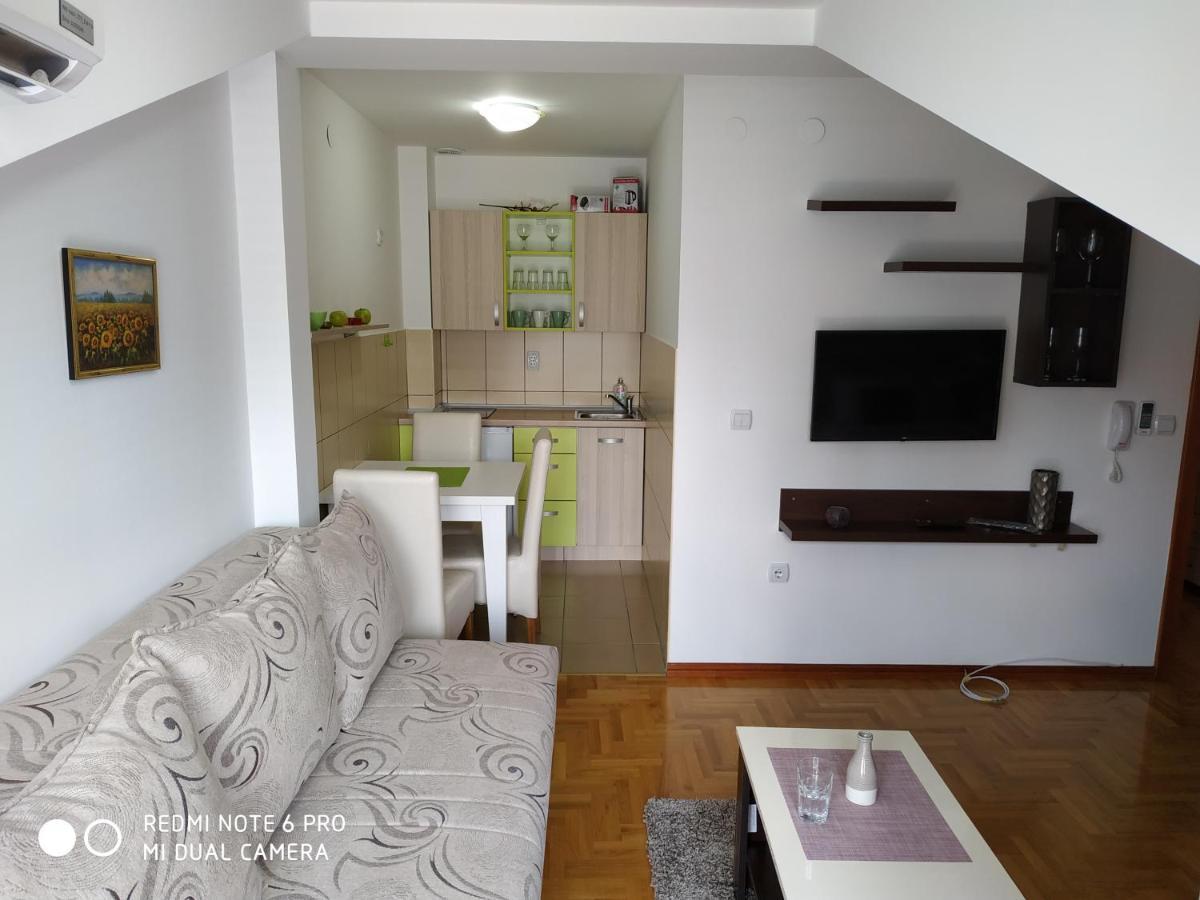 Apartman ZENIT Vrnjacka Banja Bagian luar foto